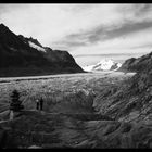 am Aletschgletscher