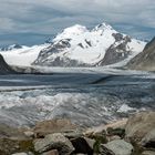 Am Aletschgletscher