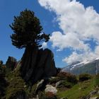 ...am Aletschgletscher