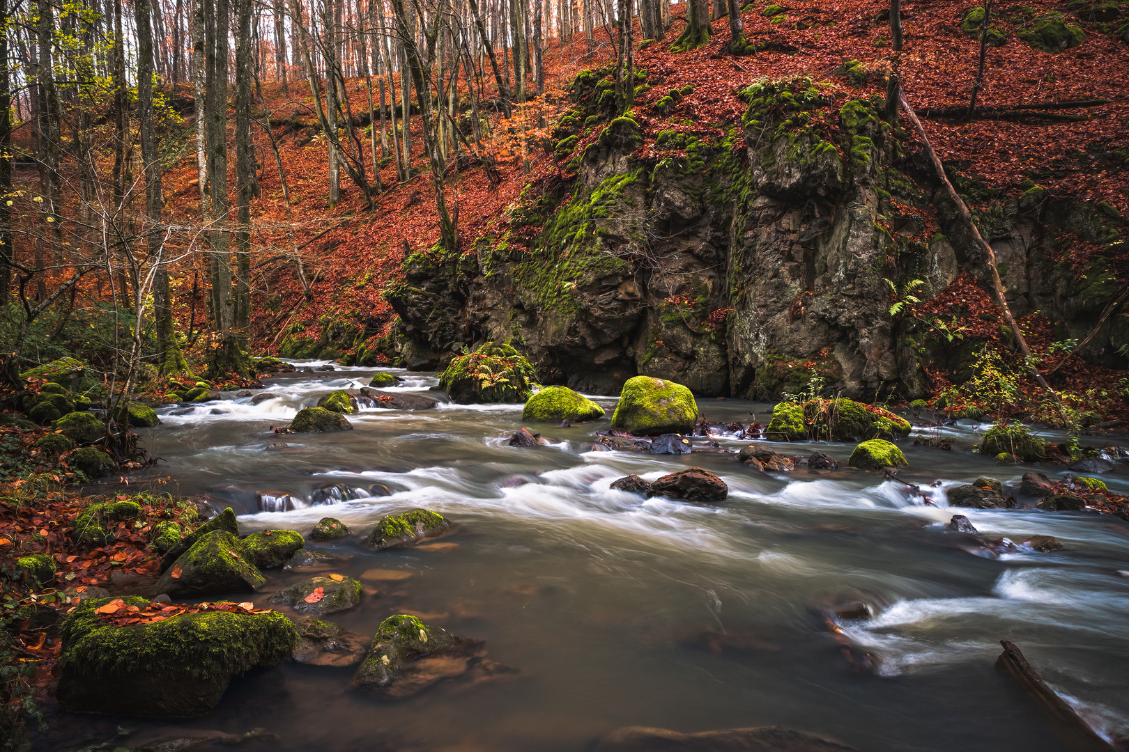 Am Alfbach II