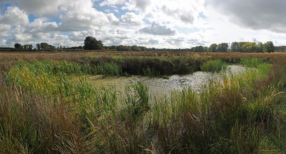 Am Allerkanal 