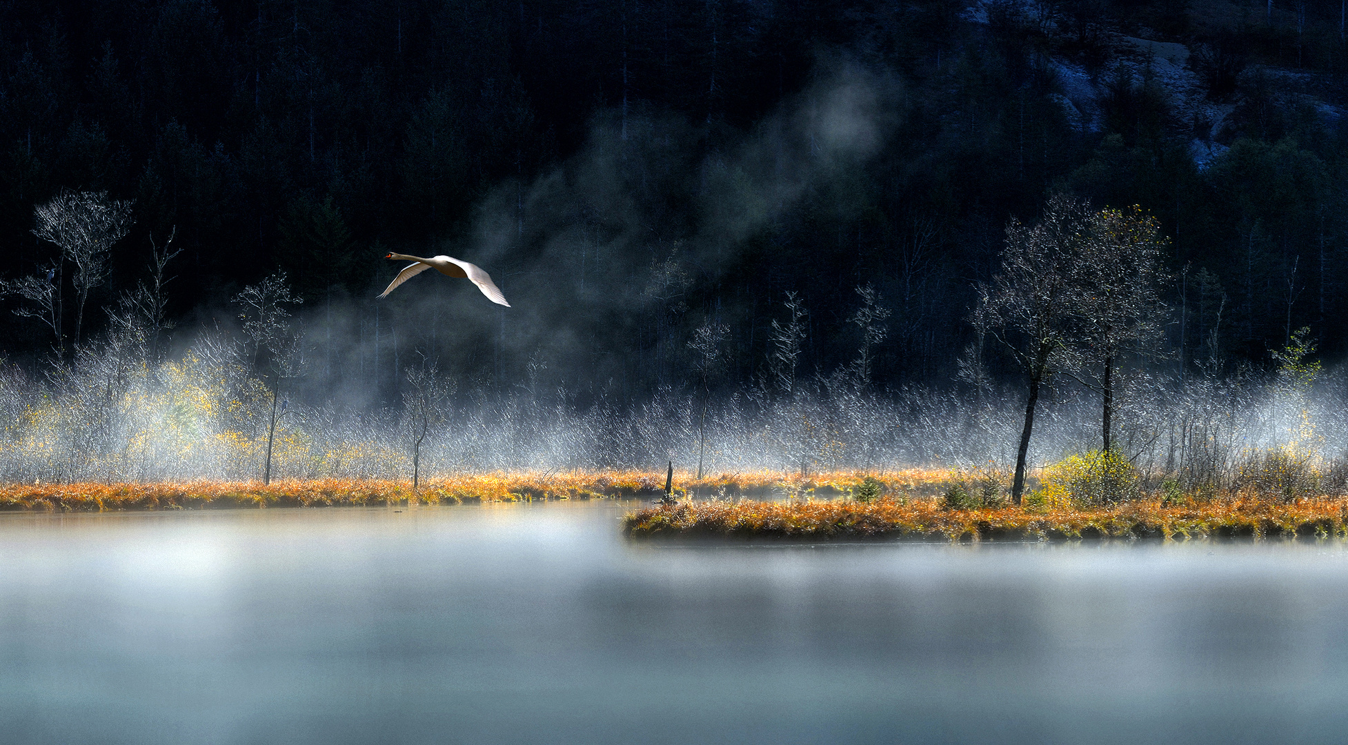 Am Almsee