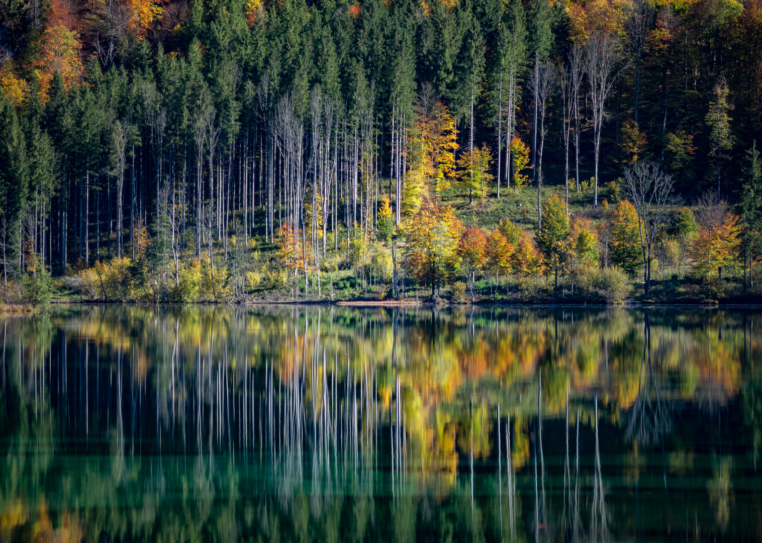 Am Almsee im Toten Gebirge