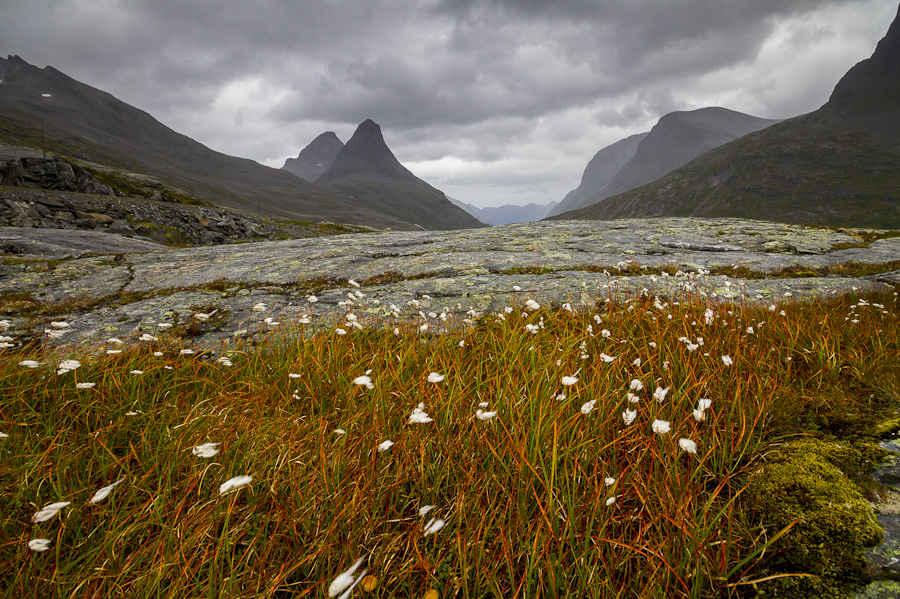 Am Alnesvatnet