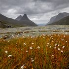 Am Alnesvatnet