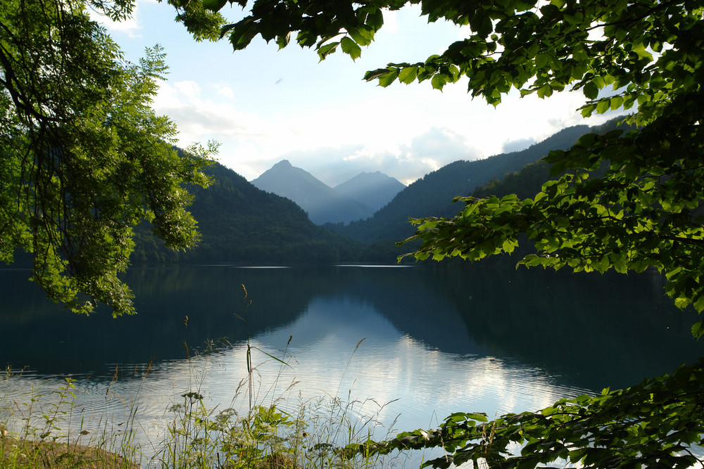 Am Alpsee