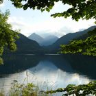 Am Alpsee