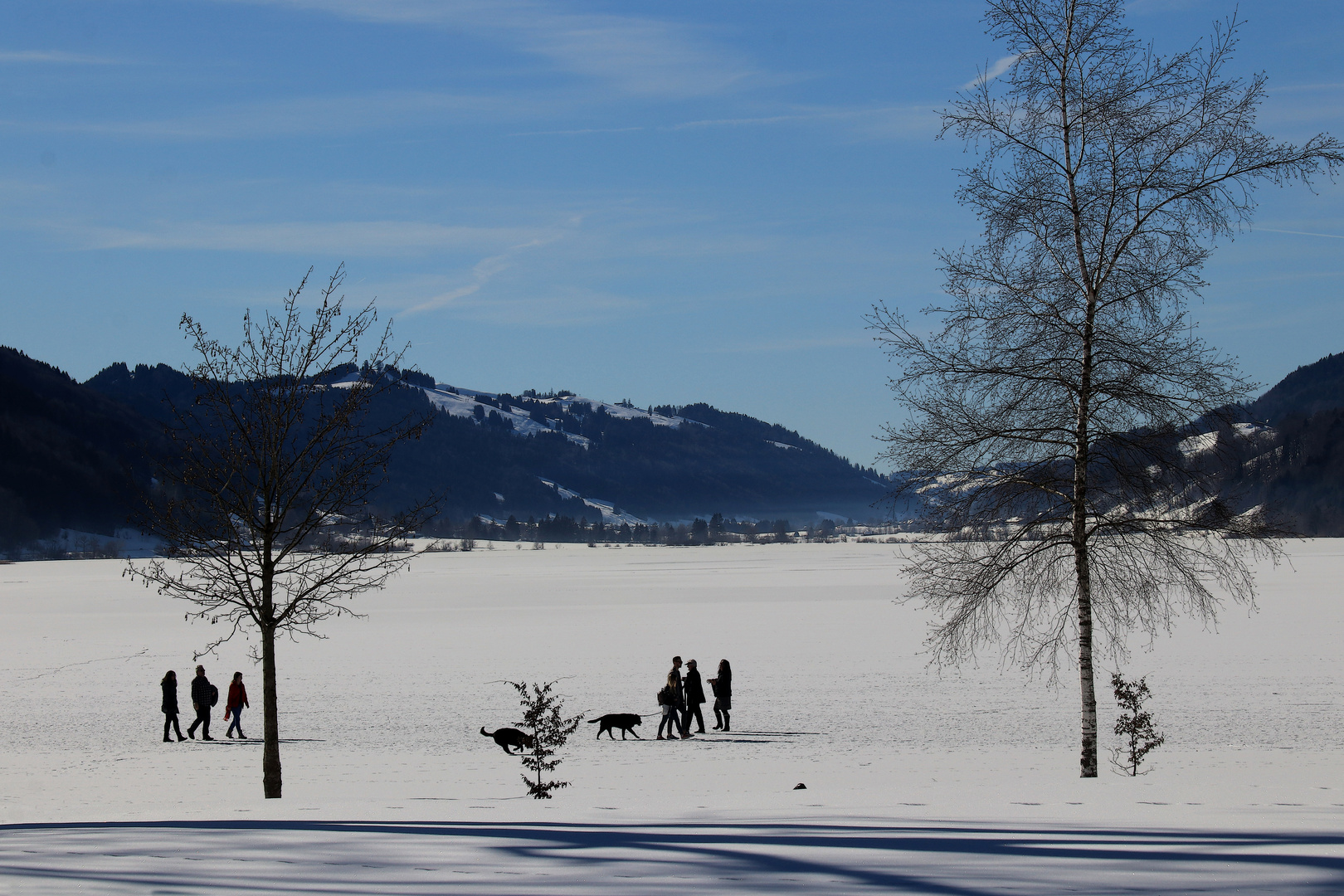 Am Alpsee