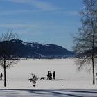 Am Alpsee