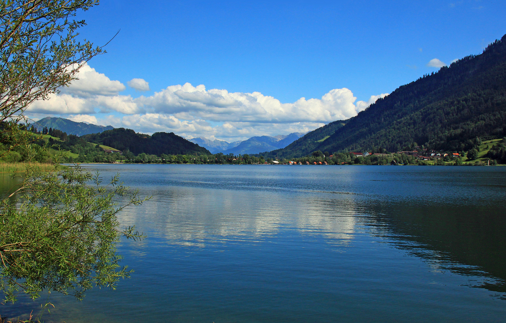 Am Alpsee