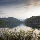 Am Alpsee