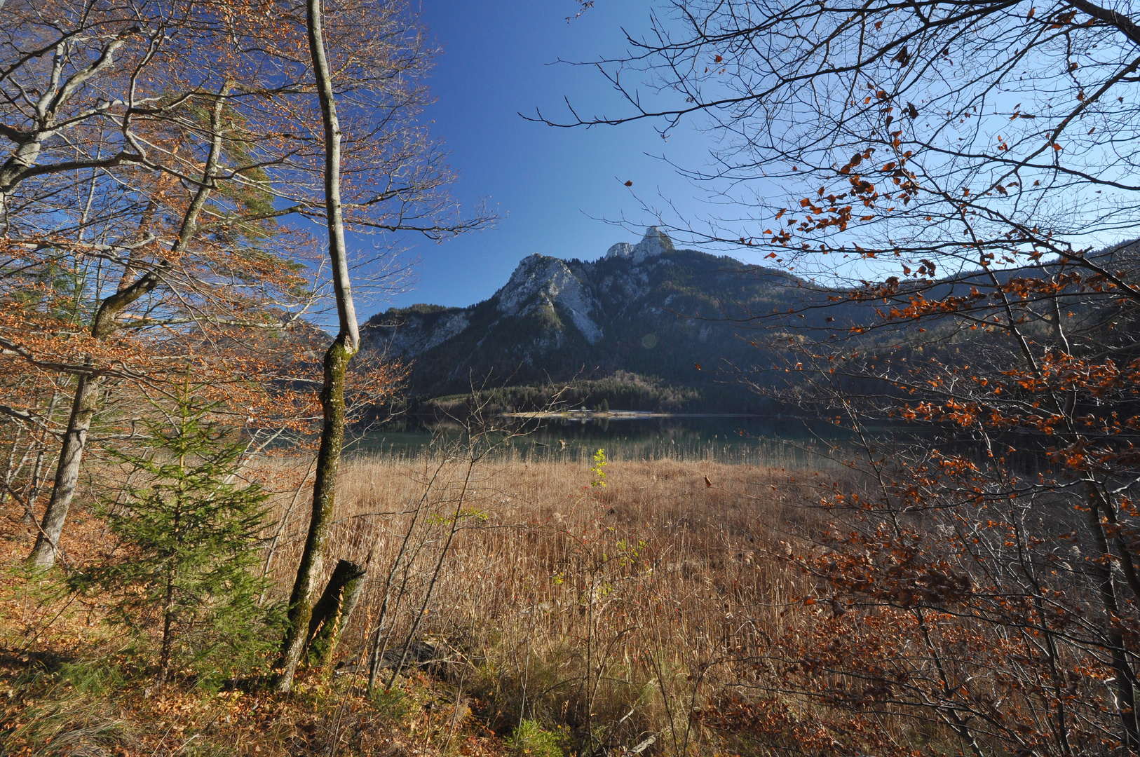 Am Alpsee (II)