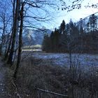 Am Alpsee im Ostallgäu