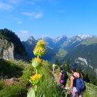 Am Alpstein