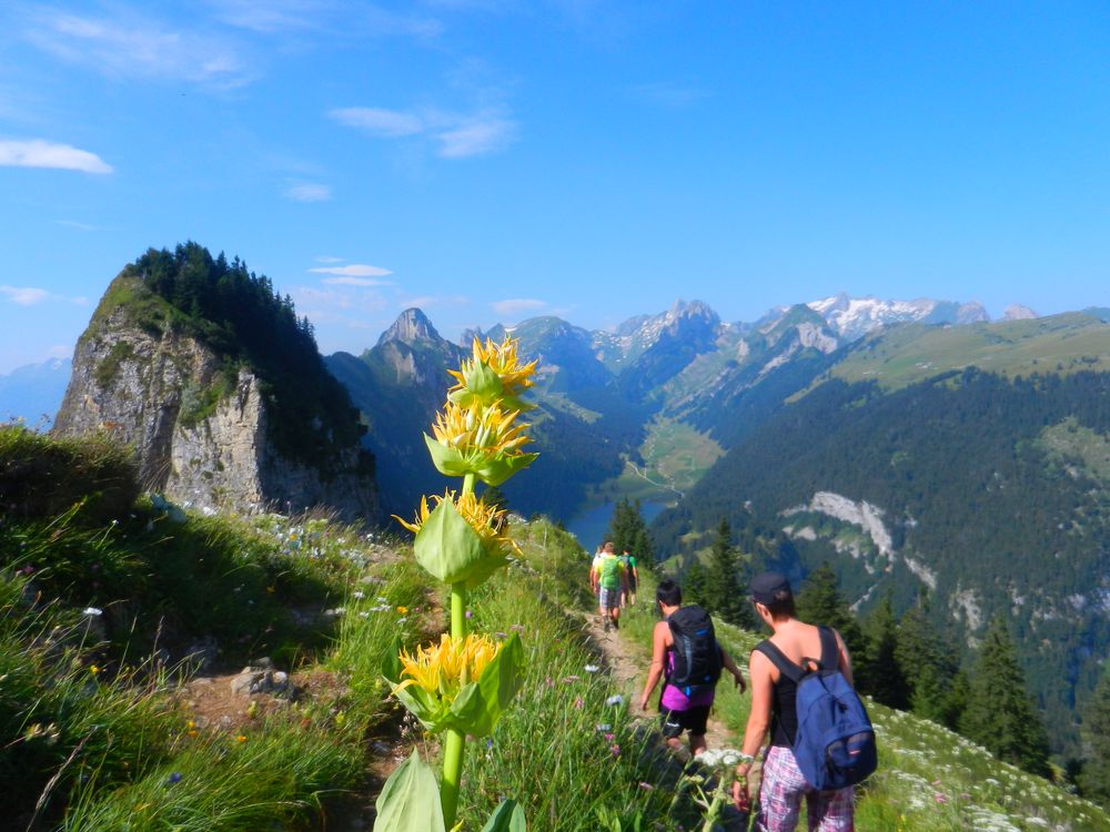 Am Alpstein