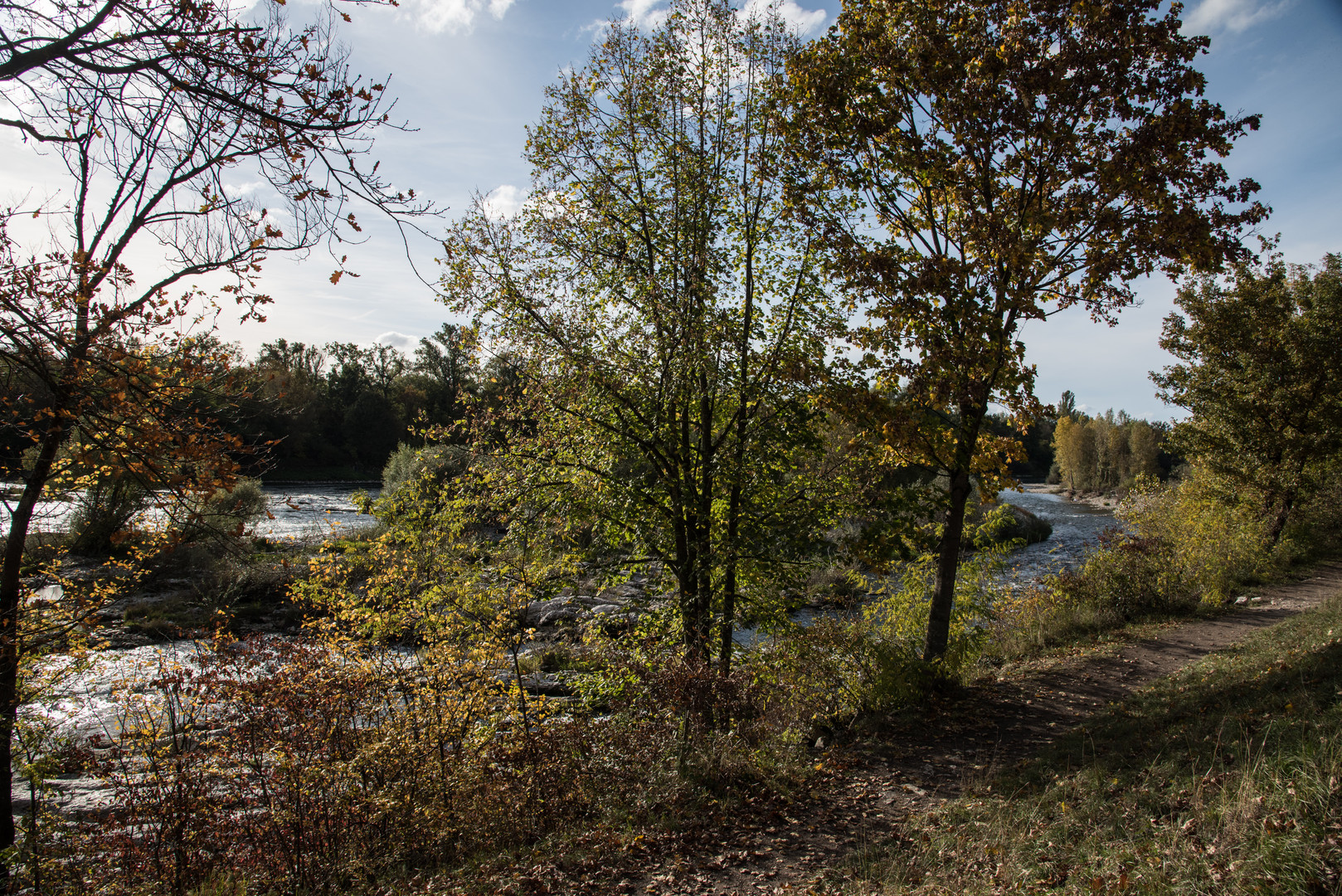 am Alt-Rhein 3