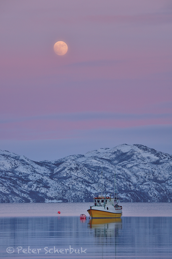 Am Altafjord