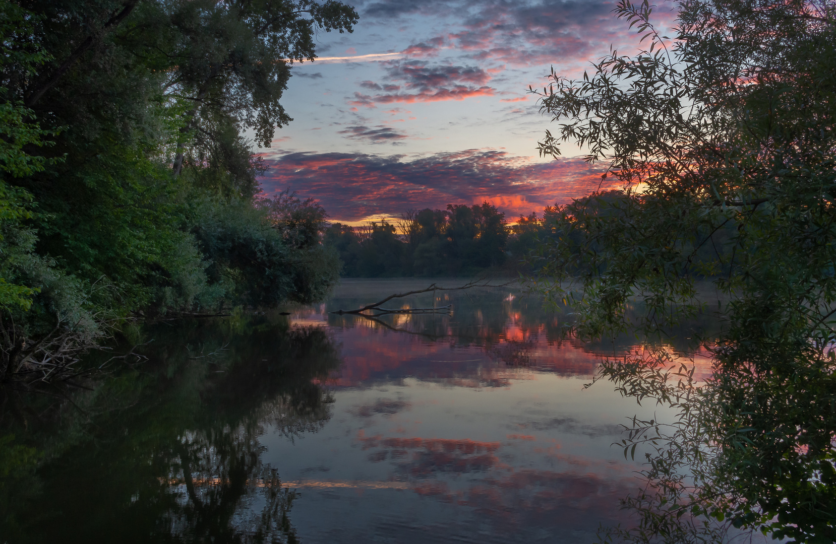 Am Altarm der Donau