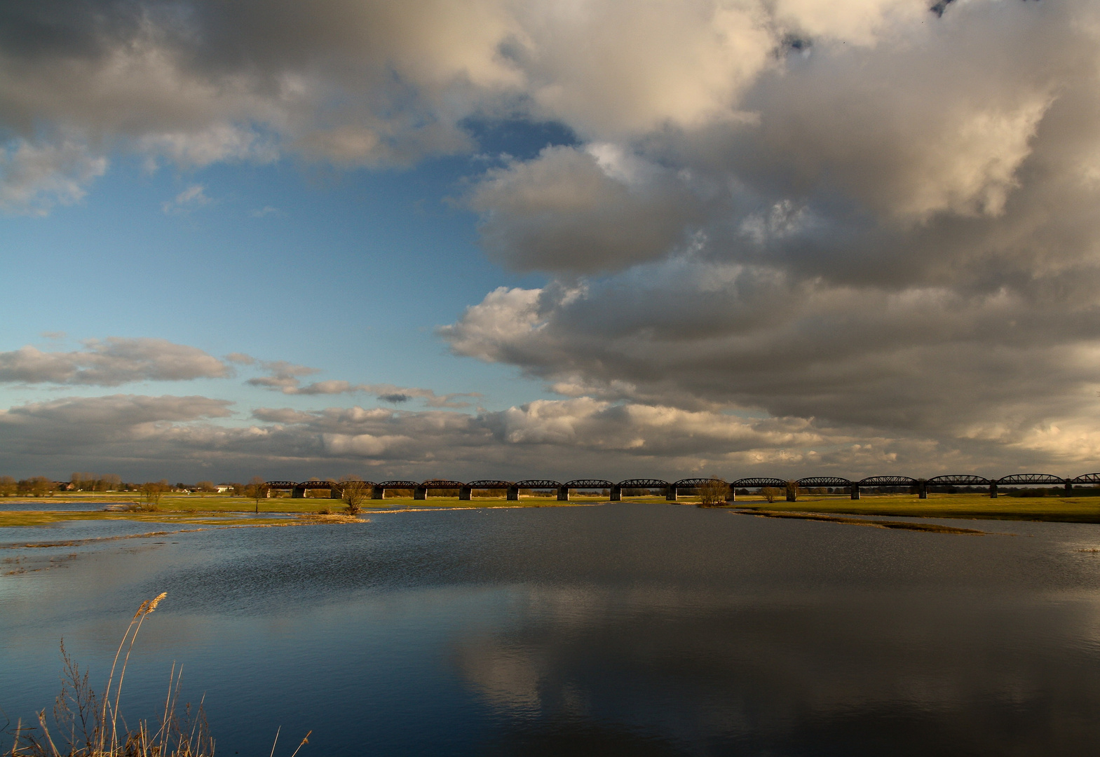 Am Altarm der Elbe