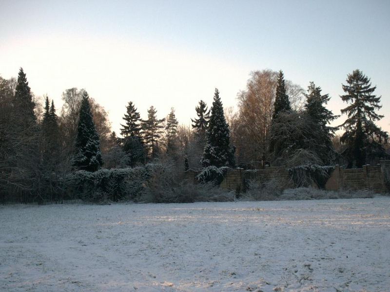 am alten Friedhof