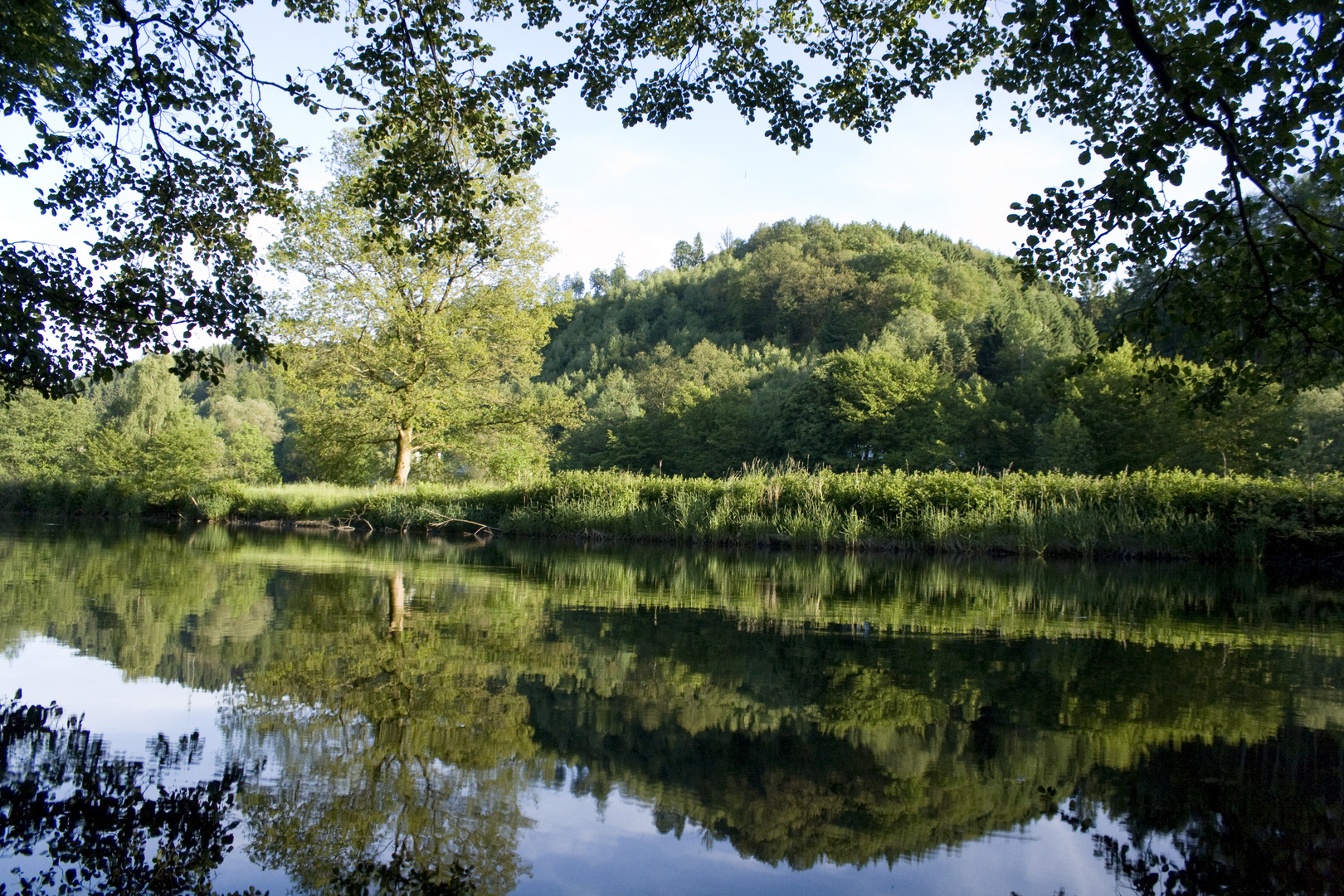 Am alten Hammerteich