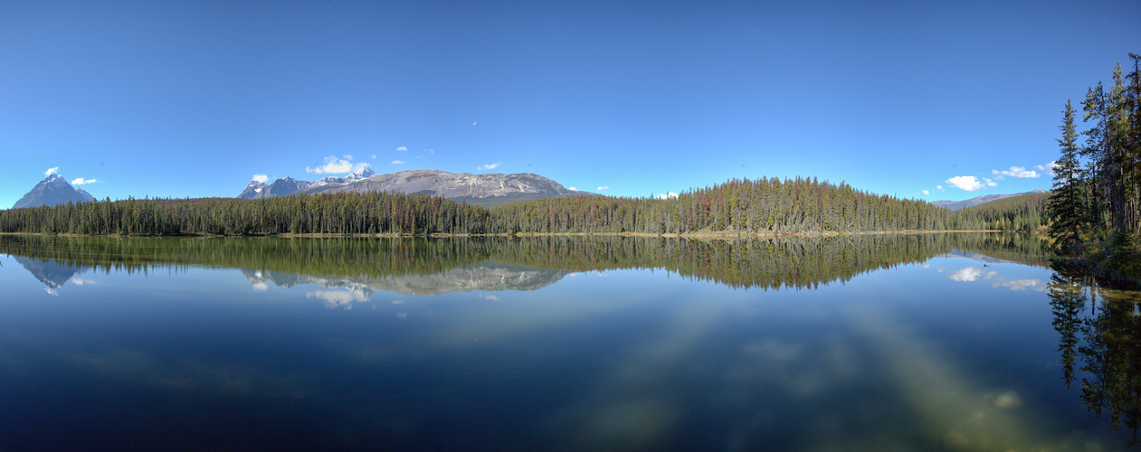 Am alten Icefield Parkway Nähe Jasper Panorama aus 5 Bildern