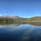 Am alten Icefield Parkway Nähe Jasper Panorama aus 5 Bildern