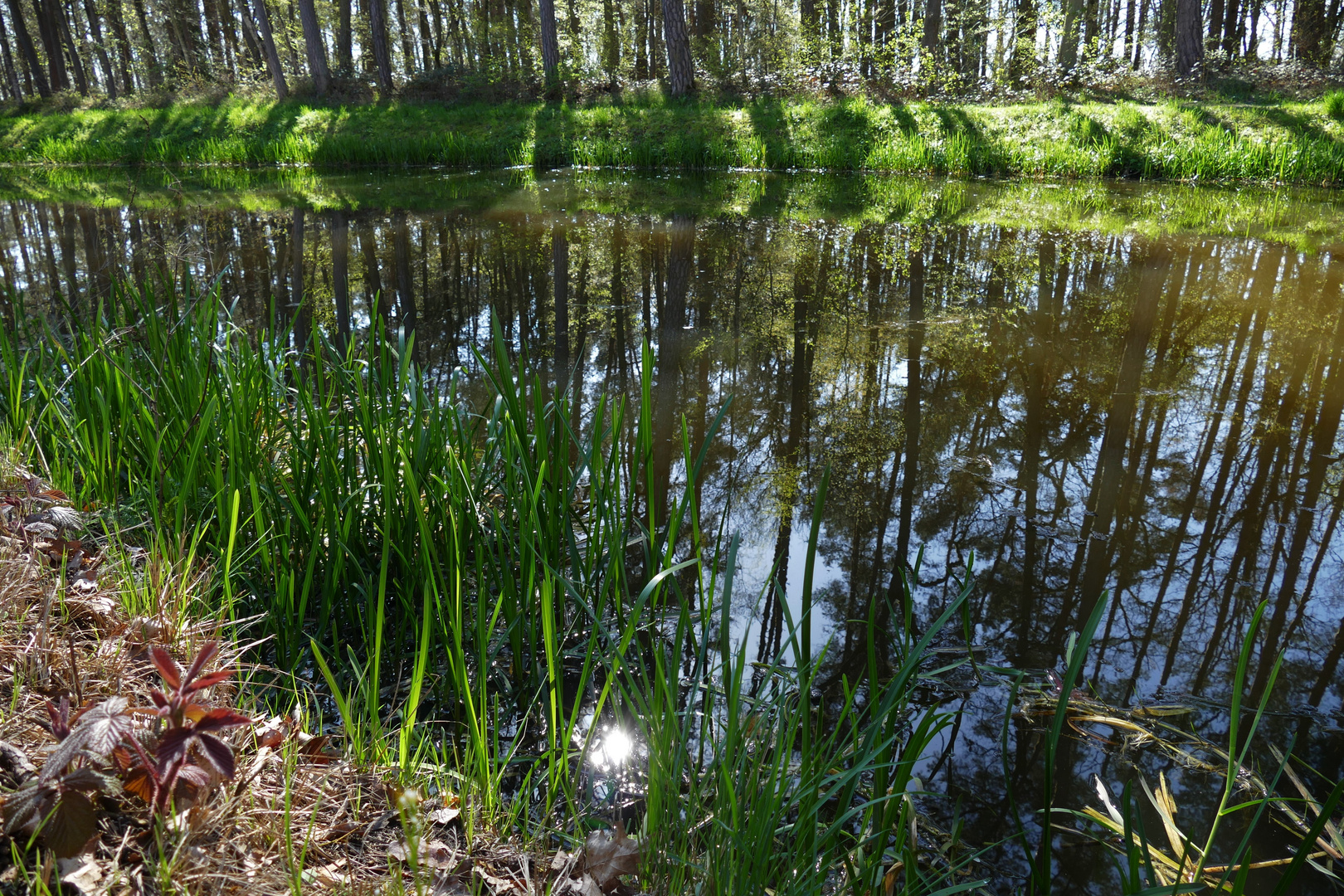 Am Alten Kanal in Wendelstein