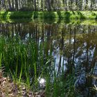 Am Alten Kanal in Wendelstein