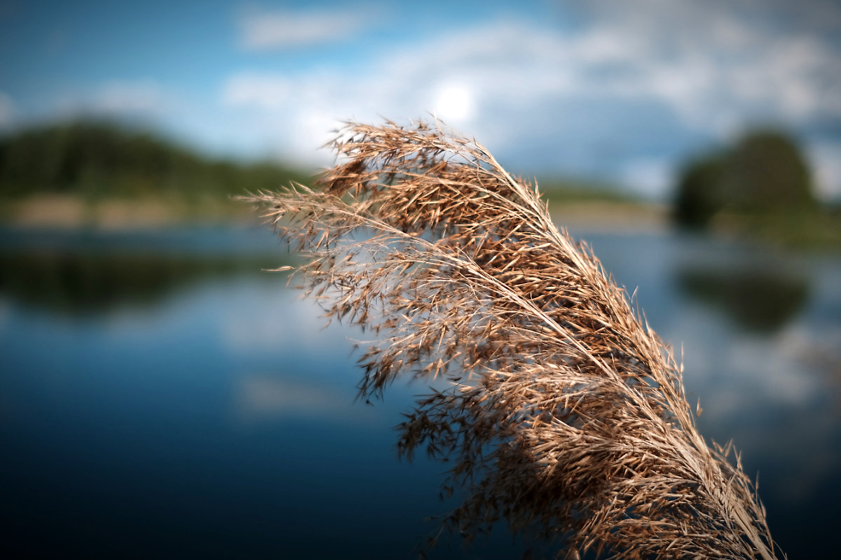 am alten Kiessee