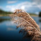 am alten Kiessee