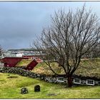 Am alten Kirchhof in Torshavn