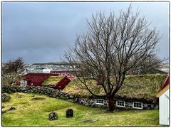 Am alten Kirchhof in Torshavn