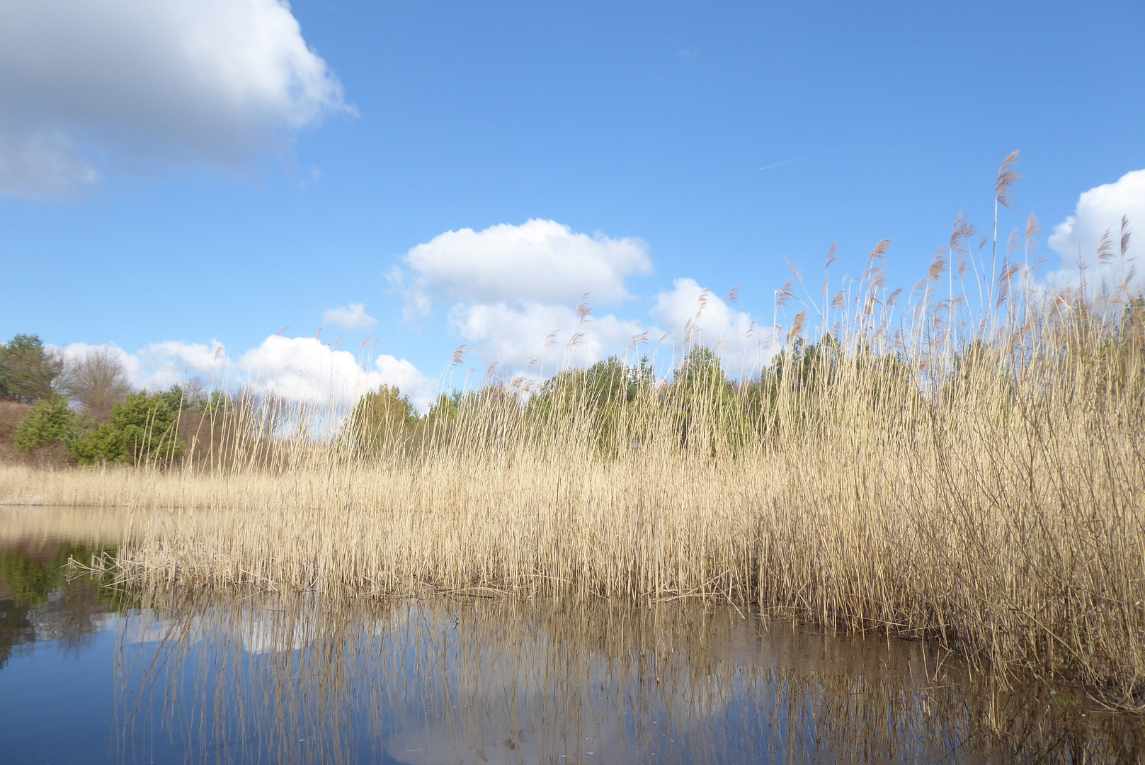 Am alten Lehmloch in Reetz - blauer Himmel