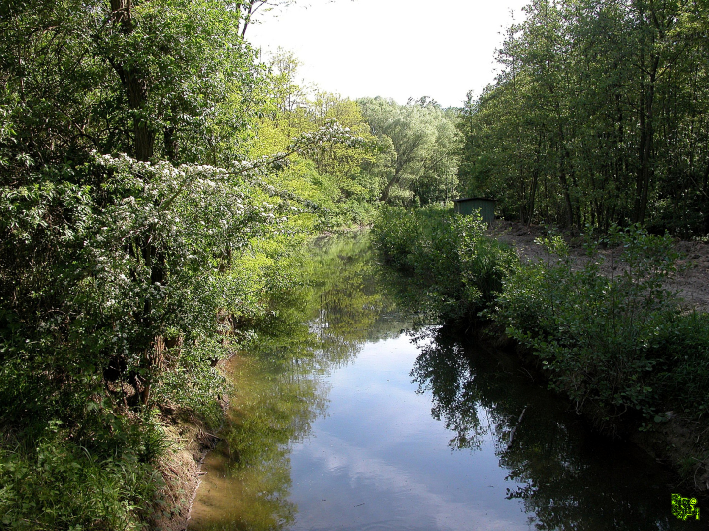 Am alten Mühlbach