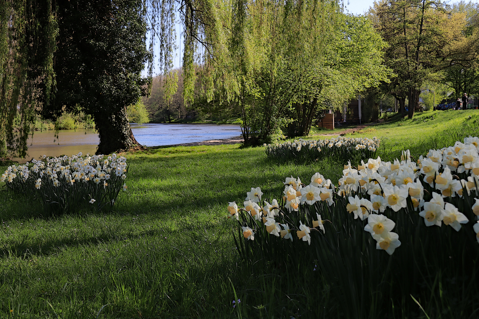 Am alten Neckar