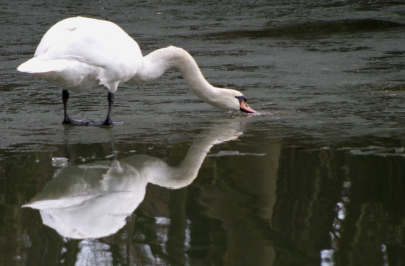 ...am alten Neckar