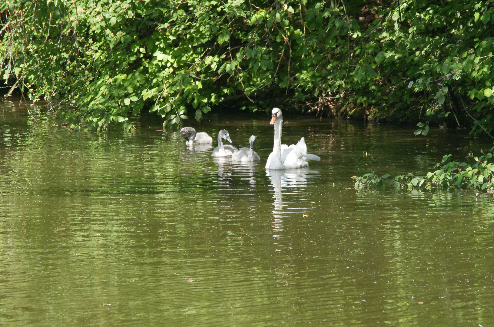 ...am alten Neckar