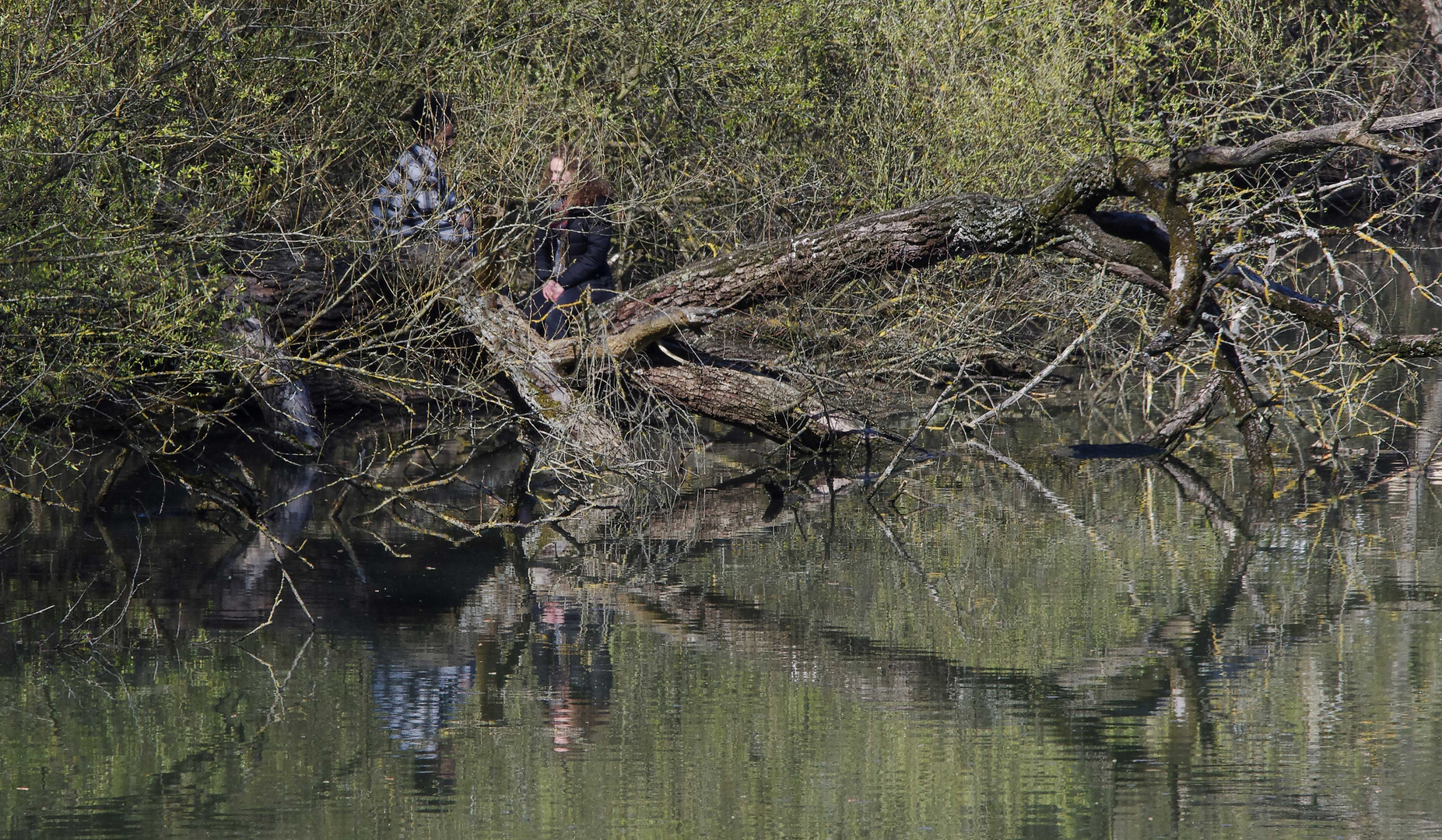 ...am alten Neckar