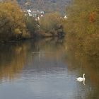 Am alten Neckar