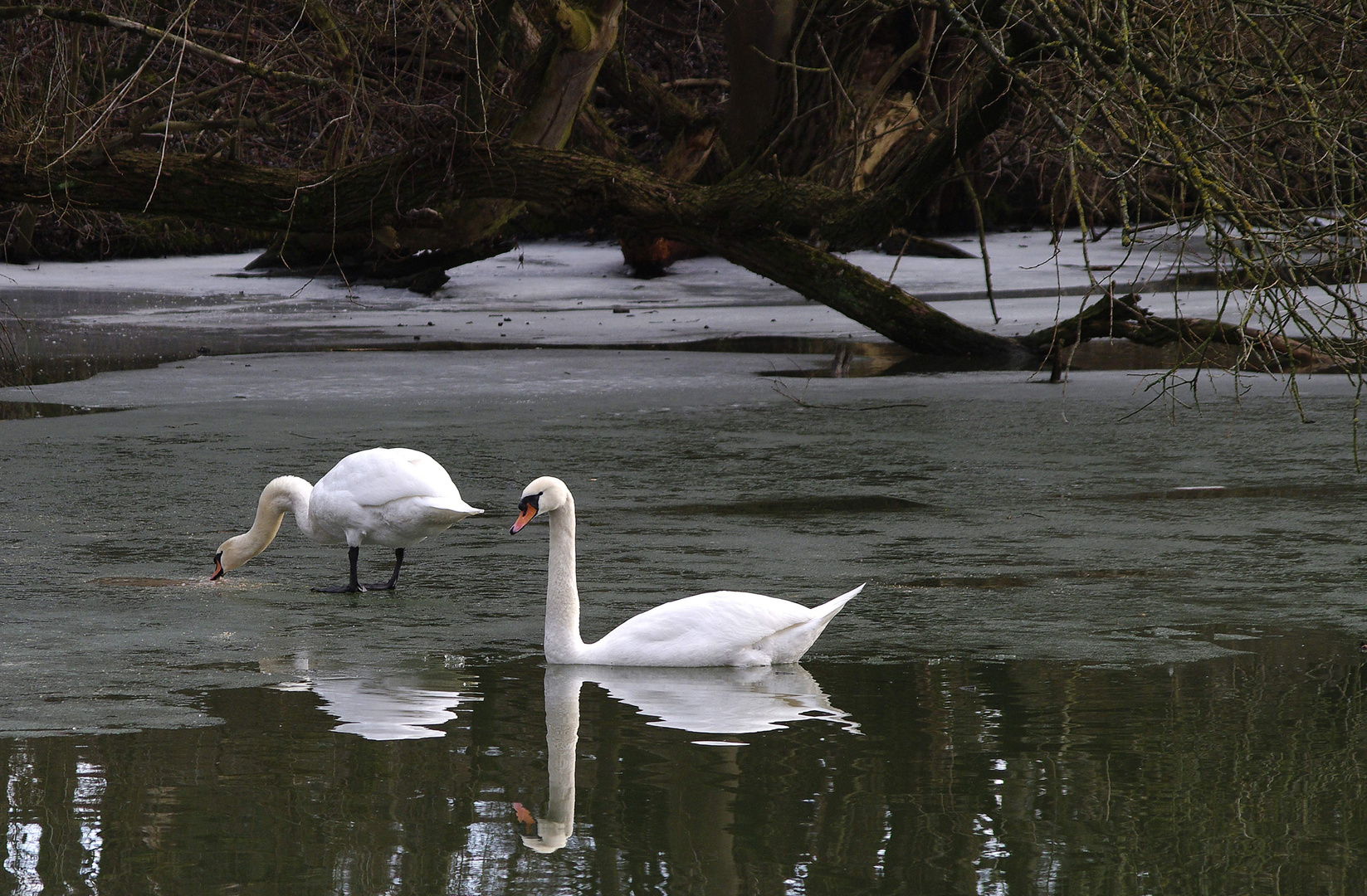 ...am alten Neckar