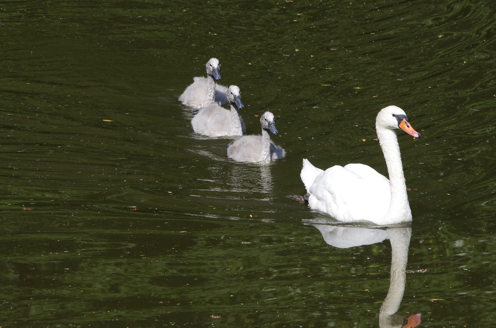 ...am alten Neckar