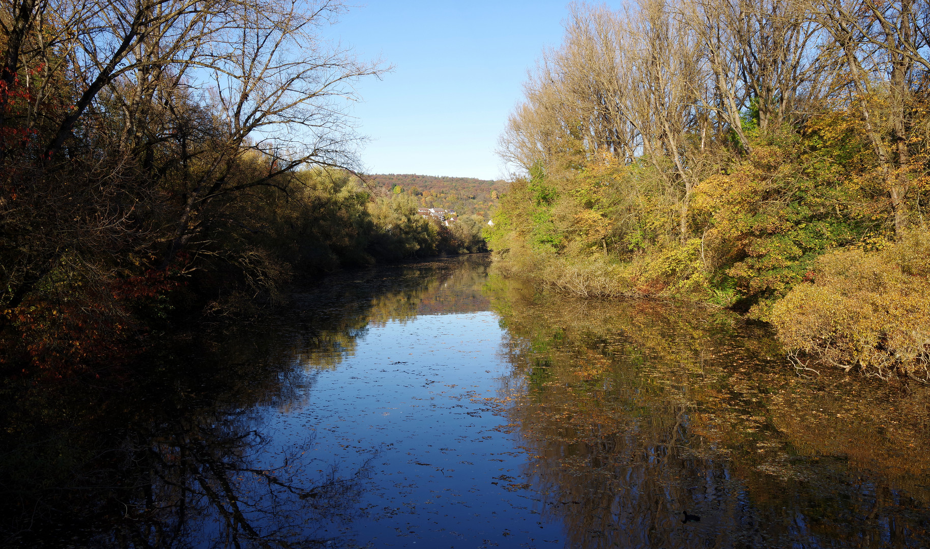 am alten Neckar bei Esslingen