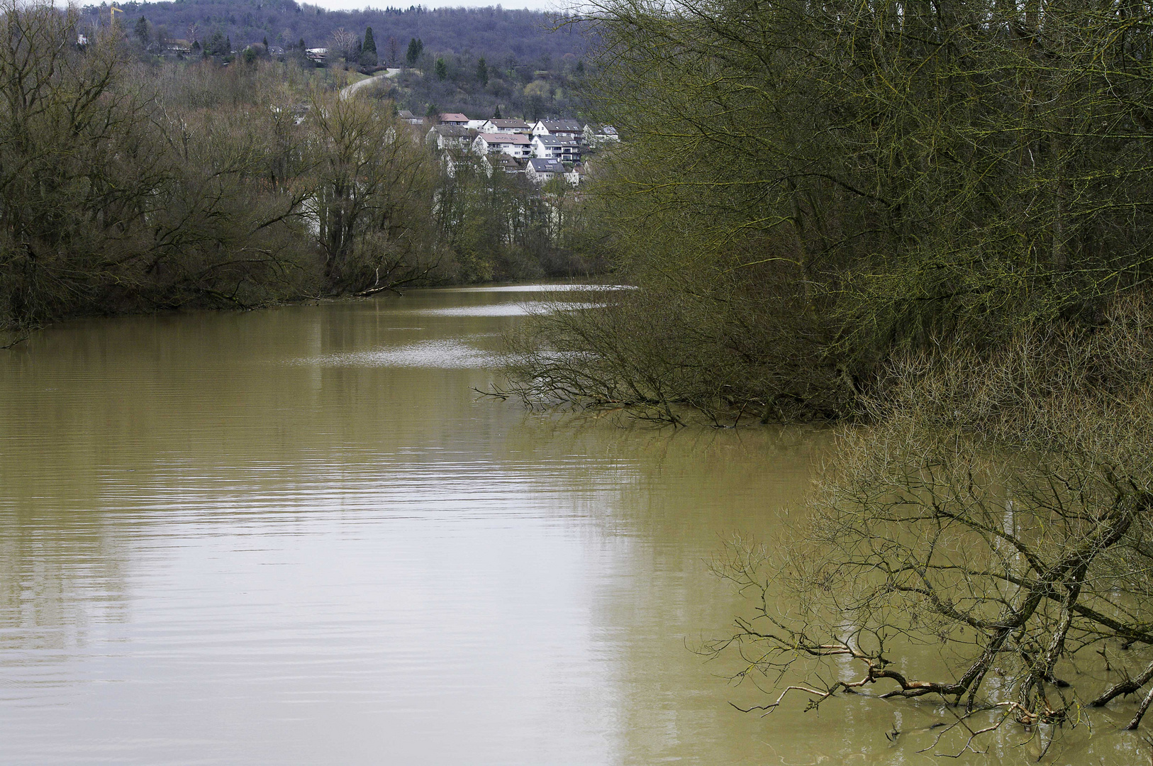 ...am alten Neckar