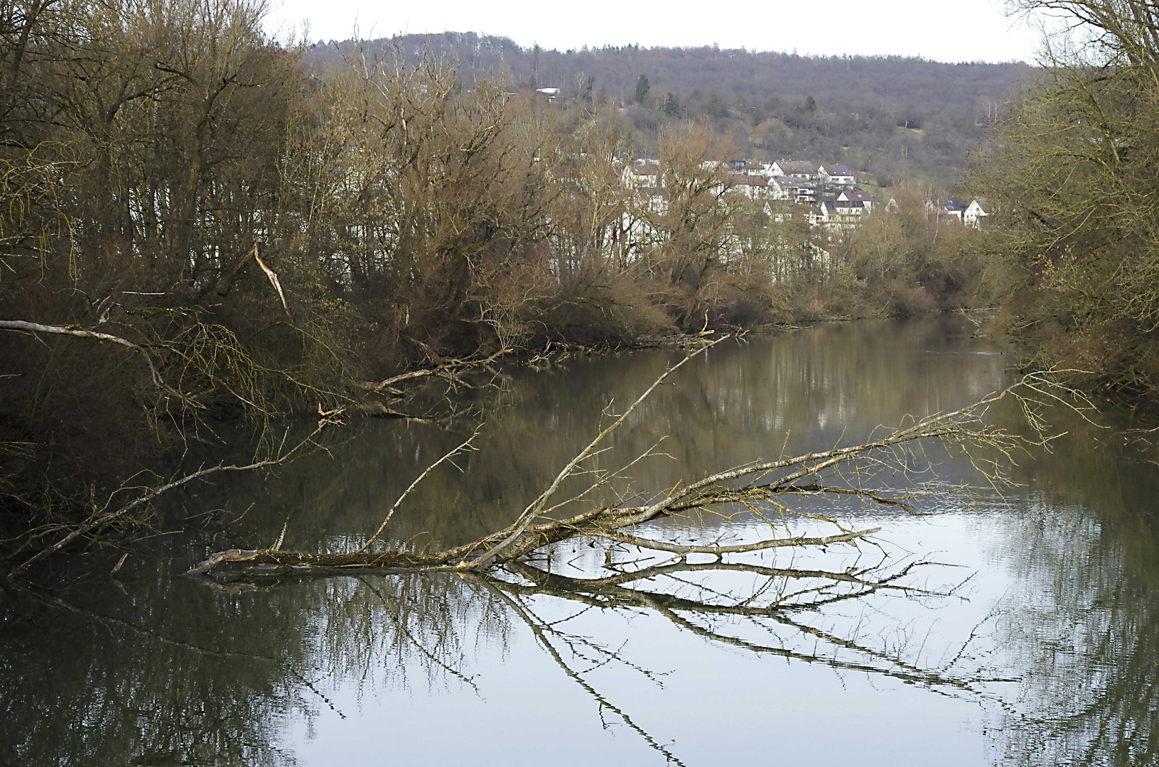 ...am alten Neckar