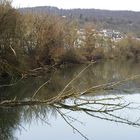 ...am alten Neckar