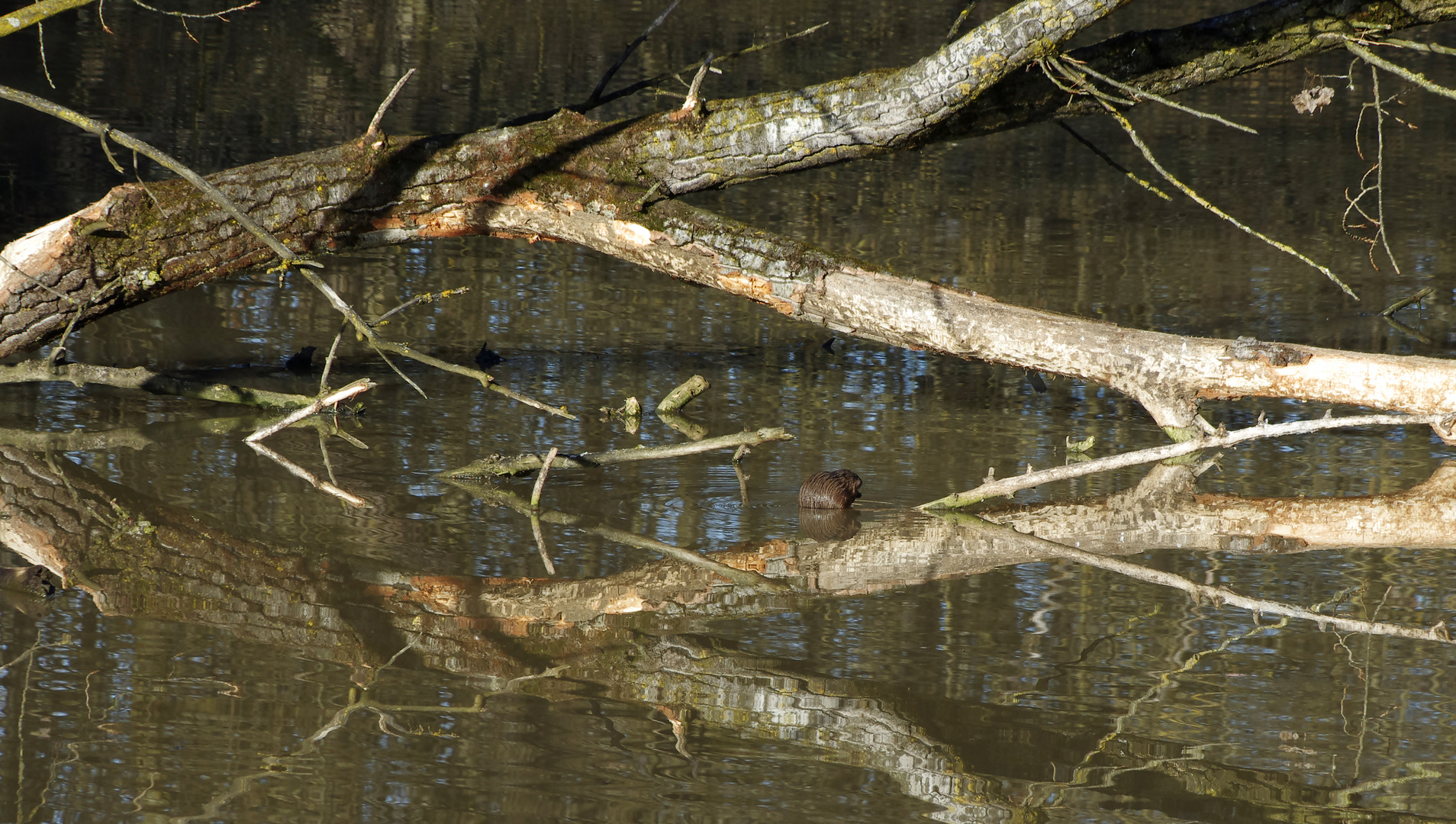 ...am alten Neckar