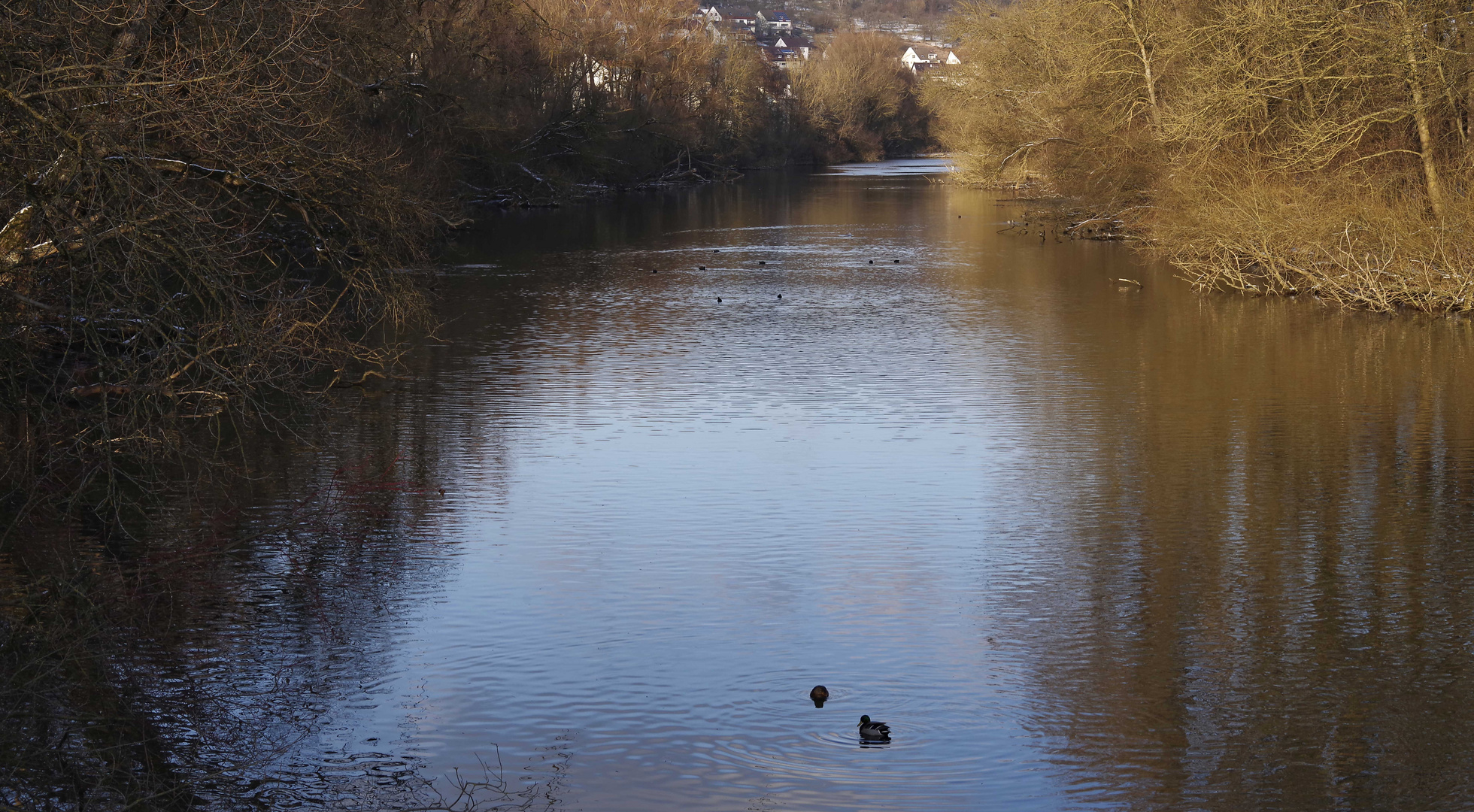 ...am alten Neckar