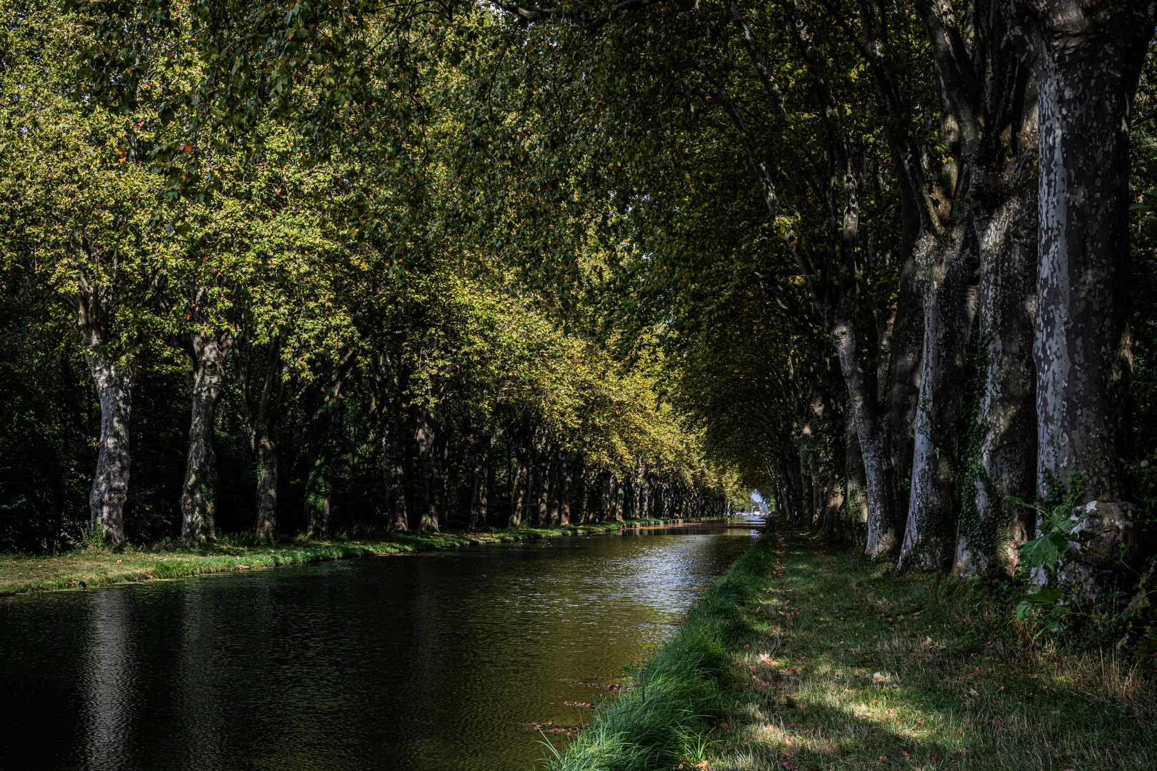 Am alten Rhein-Rhone-Kanal II