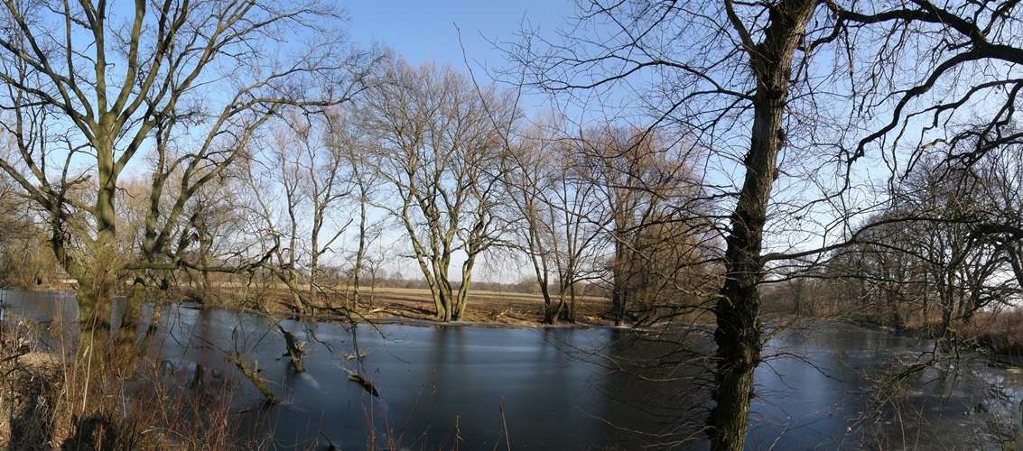 Am alten Schloßteich